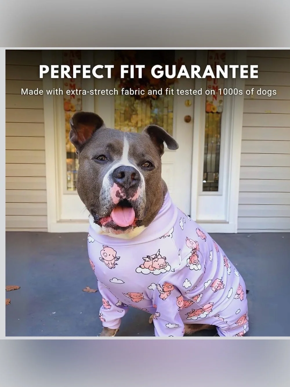 Spark Paws Dog Pajama,Recovery Suit Male, Onesie, Ultra-Soft and 4-Way Stretch